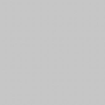 Solid light grey color background without any patterns or textures.